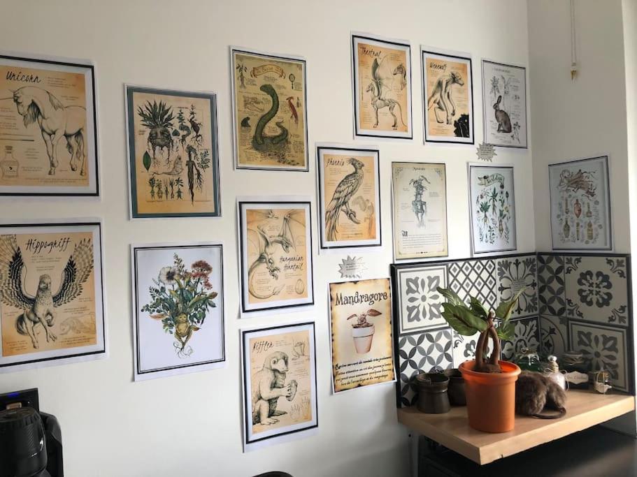 Maison Harry Potter Pour 6 Personnes En Centre Ville Montauban Zewnętrze zdjęcie