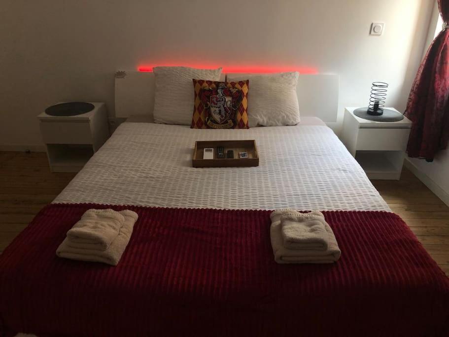 Maison Harry Potter Pour 6 Personnes En Centre Ville Montauban Zewnętrze zdjęcie